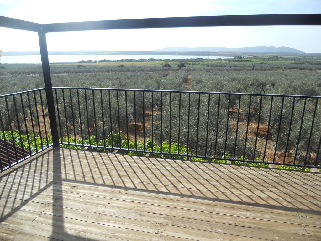 Camping Fuente De Piedra Ngoại thất bức ảnh