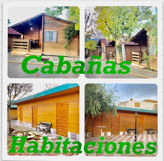 Camping Fuente De Piedra Ngoại thất bức ảnh